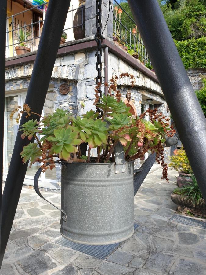 B&B Collina E Mare Camogli Exterior photo