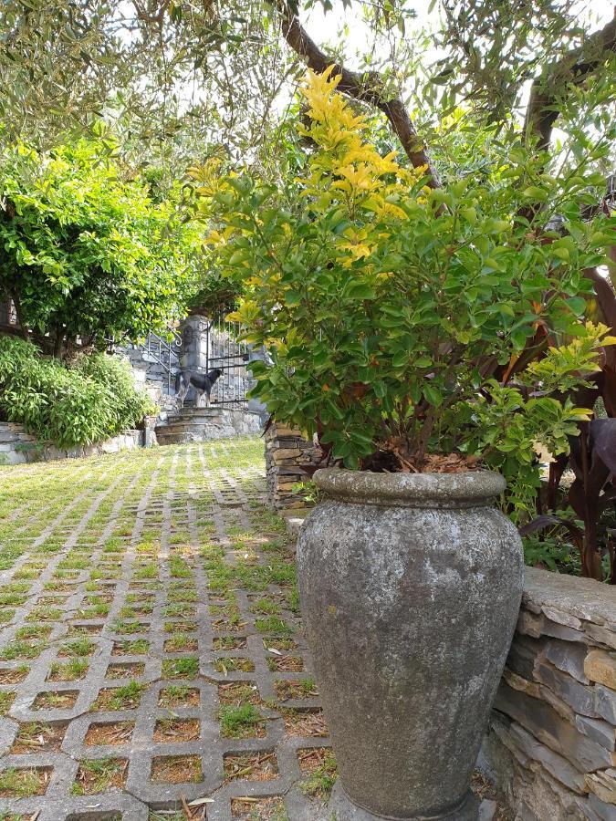 B&B Collina E Mare Camogli Exterior photo