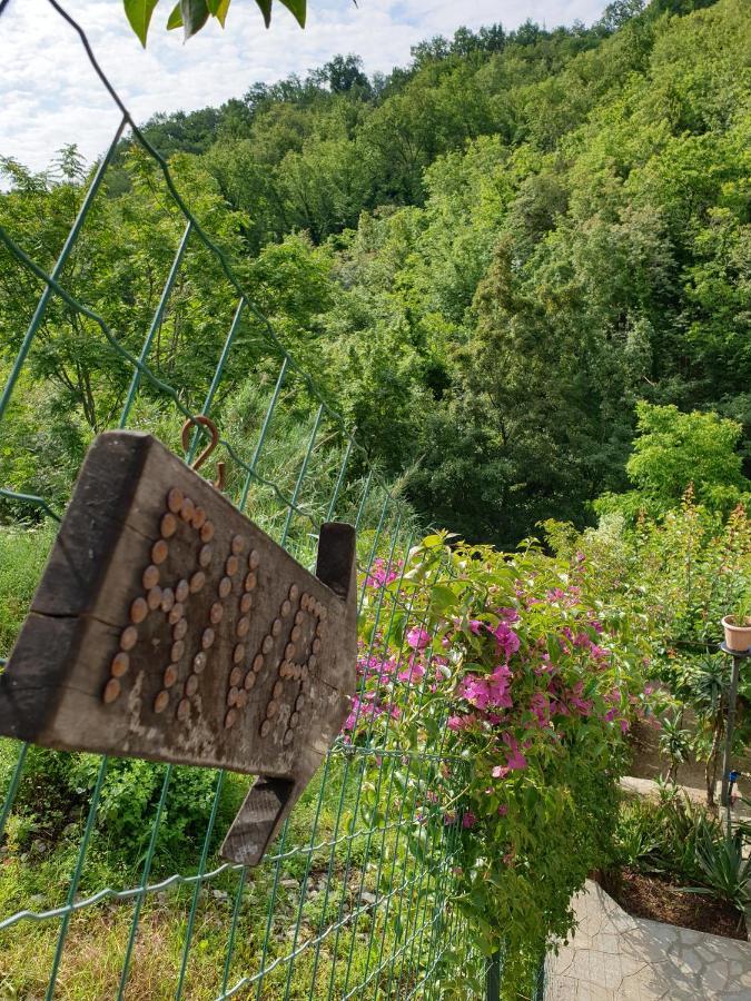 B&B Collina E Mare Camogli Exterior photo