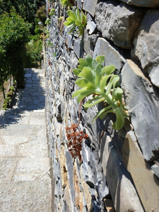 B&B Collina E Mare Camogli Exterior photo