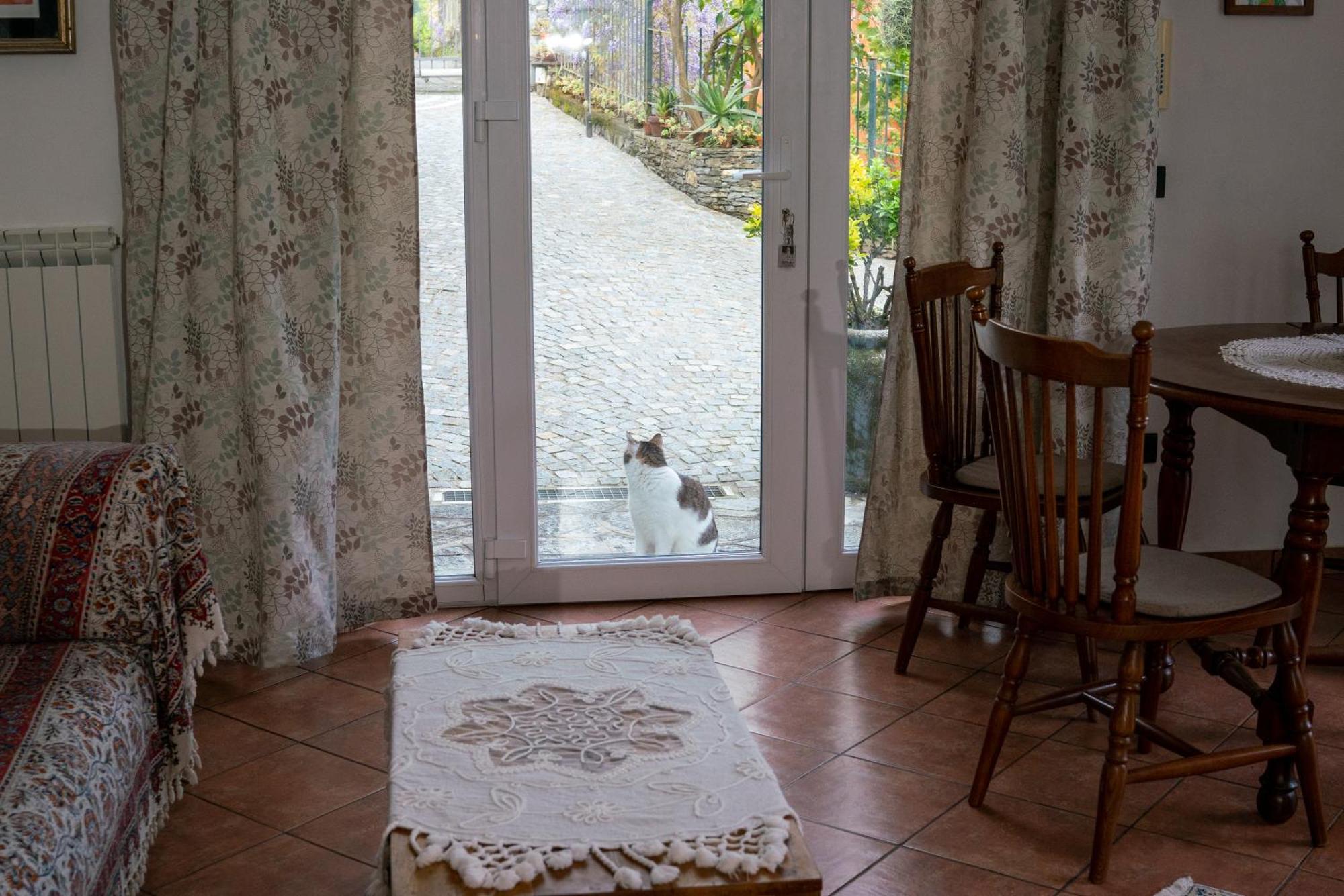 B&B Collina E Mare Camogli Exterior photo