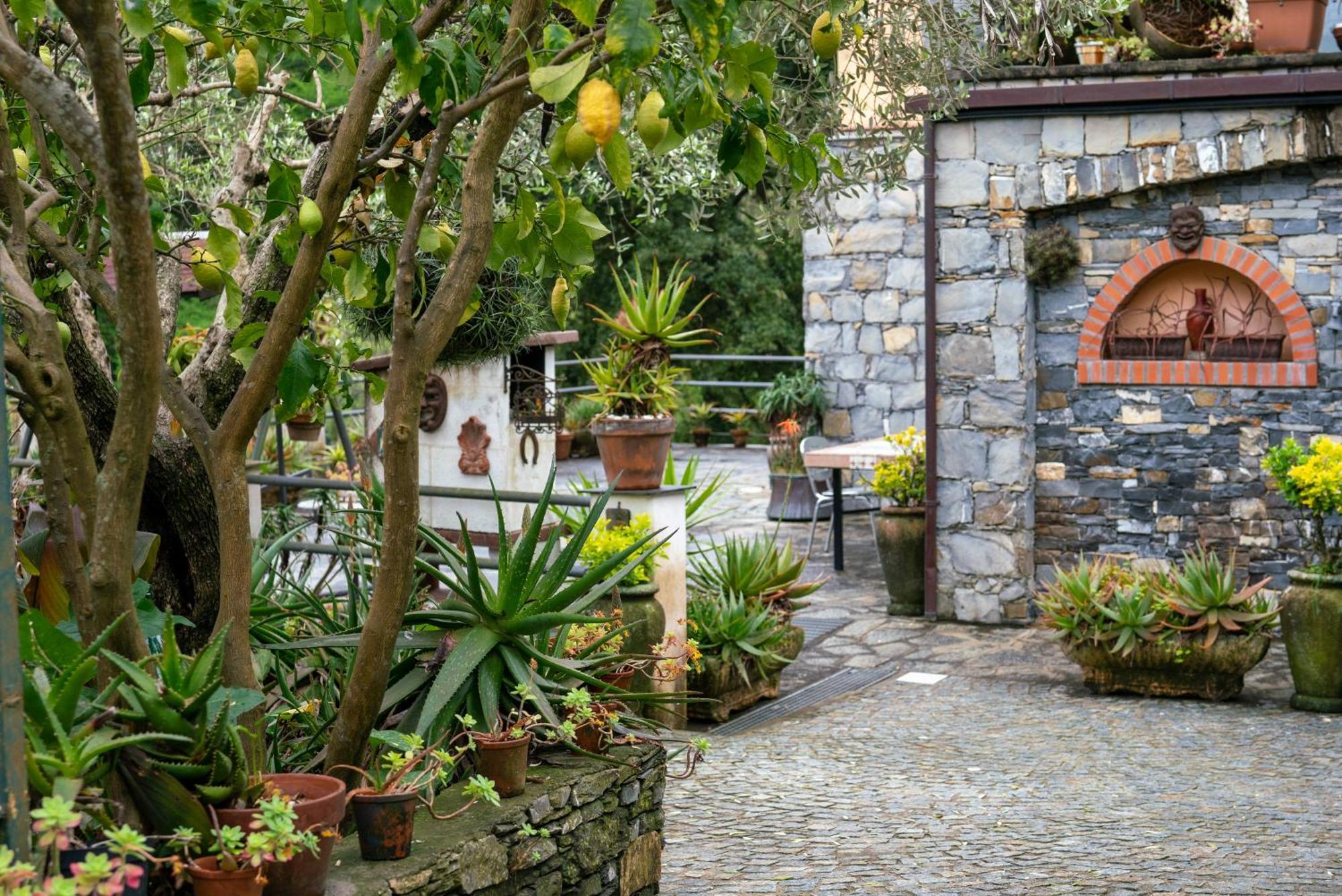 B&B Collina E Mare Camogli Exterior photo
