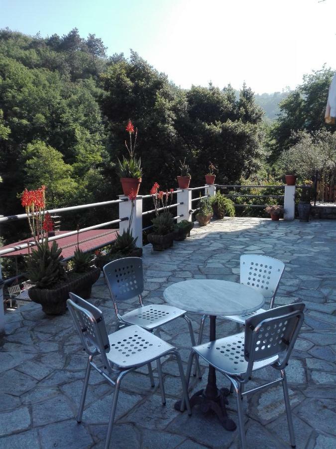 B&B Collina E Mare Camogli Exterior photo