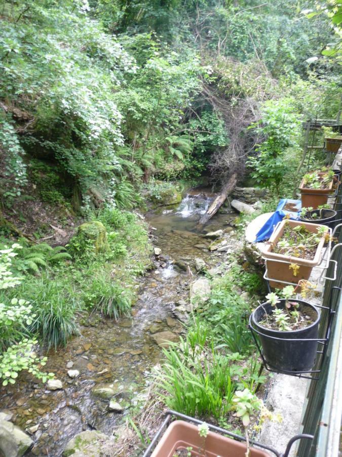 B&B Collina E Mare Camogli Exterior photo